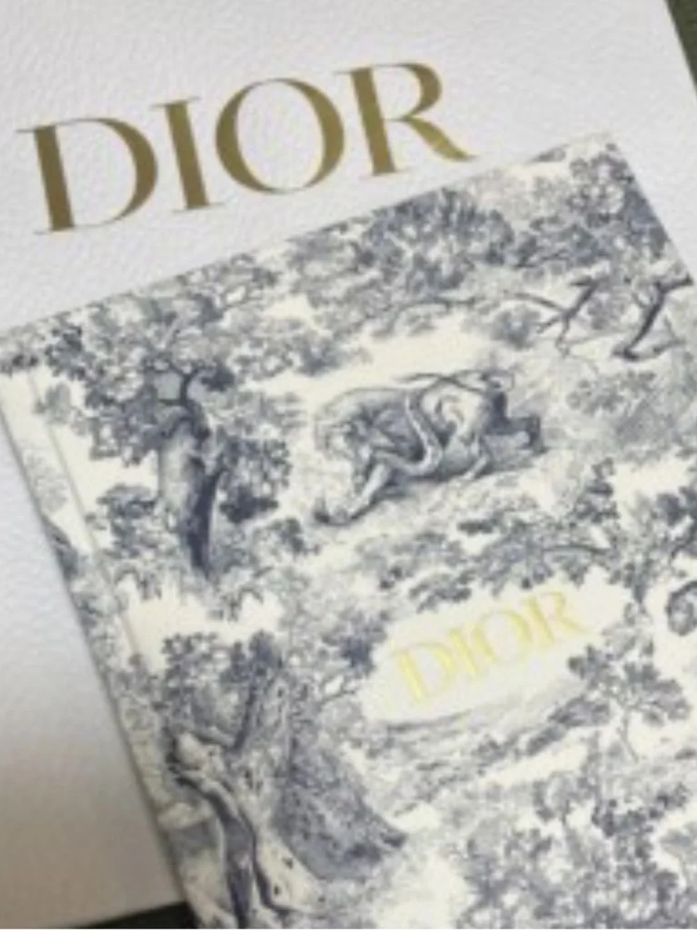 Dior Toile de Jouy Notebook